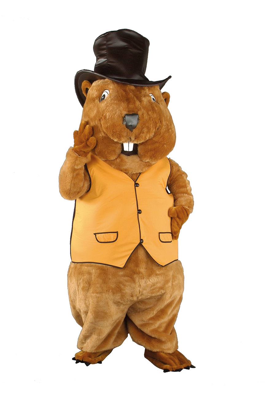 Costume mascotte de Marmotte